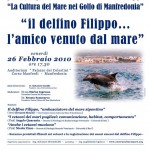 Manifesto Il delfino filippo... l'amico venuto dal mare