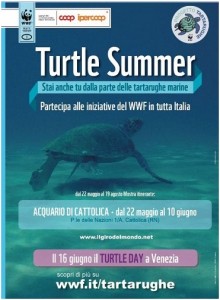 Locandina Turtle Summer 2012