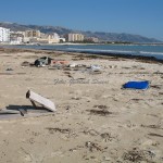 Spiaggia Castello prima dell'intervento della Pubblica Amministazione2